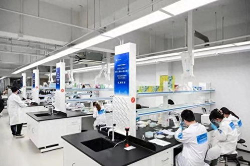 2023年寶山區(qū)生物醫(yī)藥職業(yè)技能競賽個人決賽 聚焦生物化工產品技術研發(fā)，激發(fā)行業(yè)創(chuàng)新活力